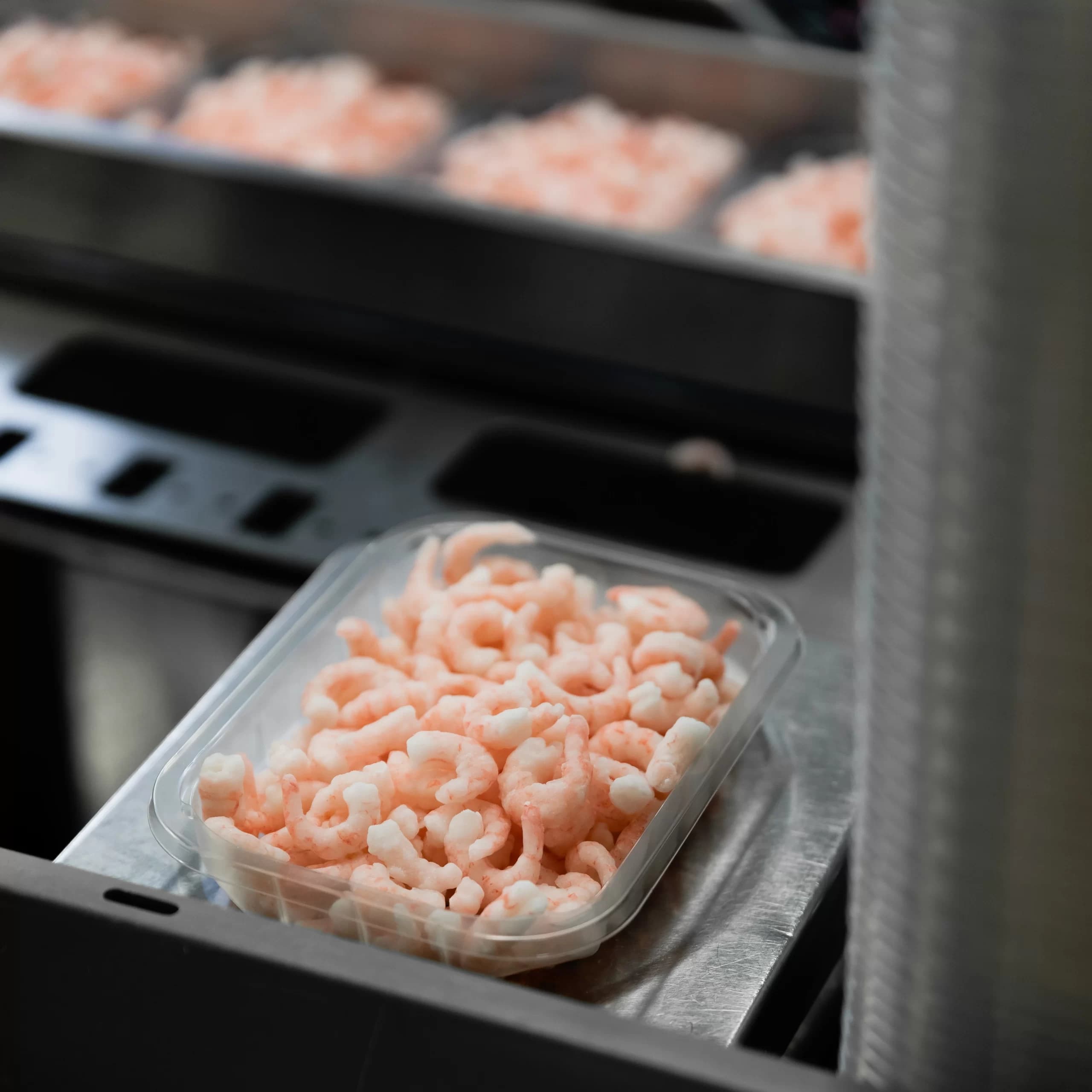 Coldwater prawns being packed for retail